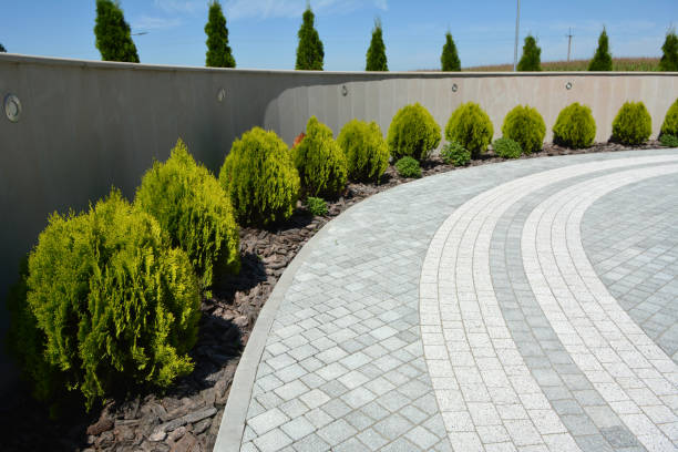 Best Custom Driveway Pavers  in Cottageville, SC